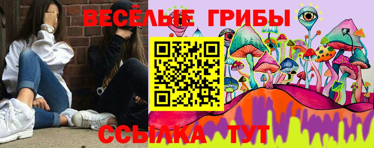 продажа наркотиков  Вход с VPN  Псилоцибиновые грибы MAGIC MUSHROOMS  Карачаевск  Галлюциногенные грибы мицелий 