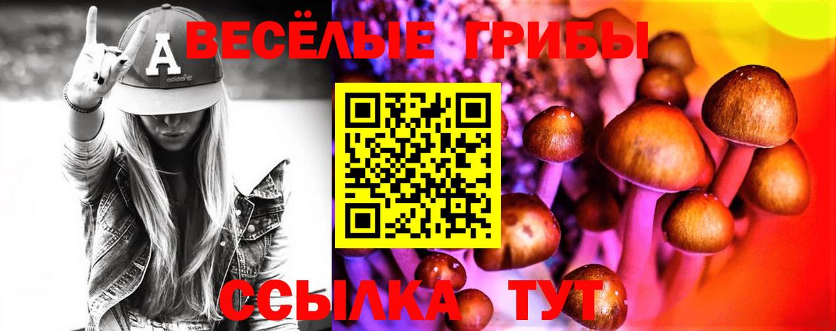 Псилоцибиновые грибы Cubensis Карачаевск